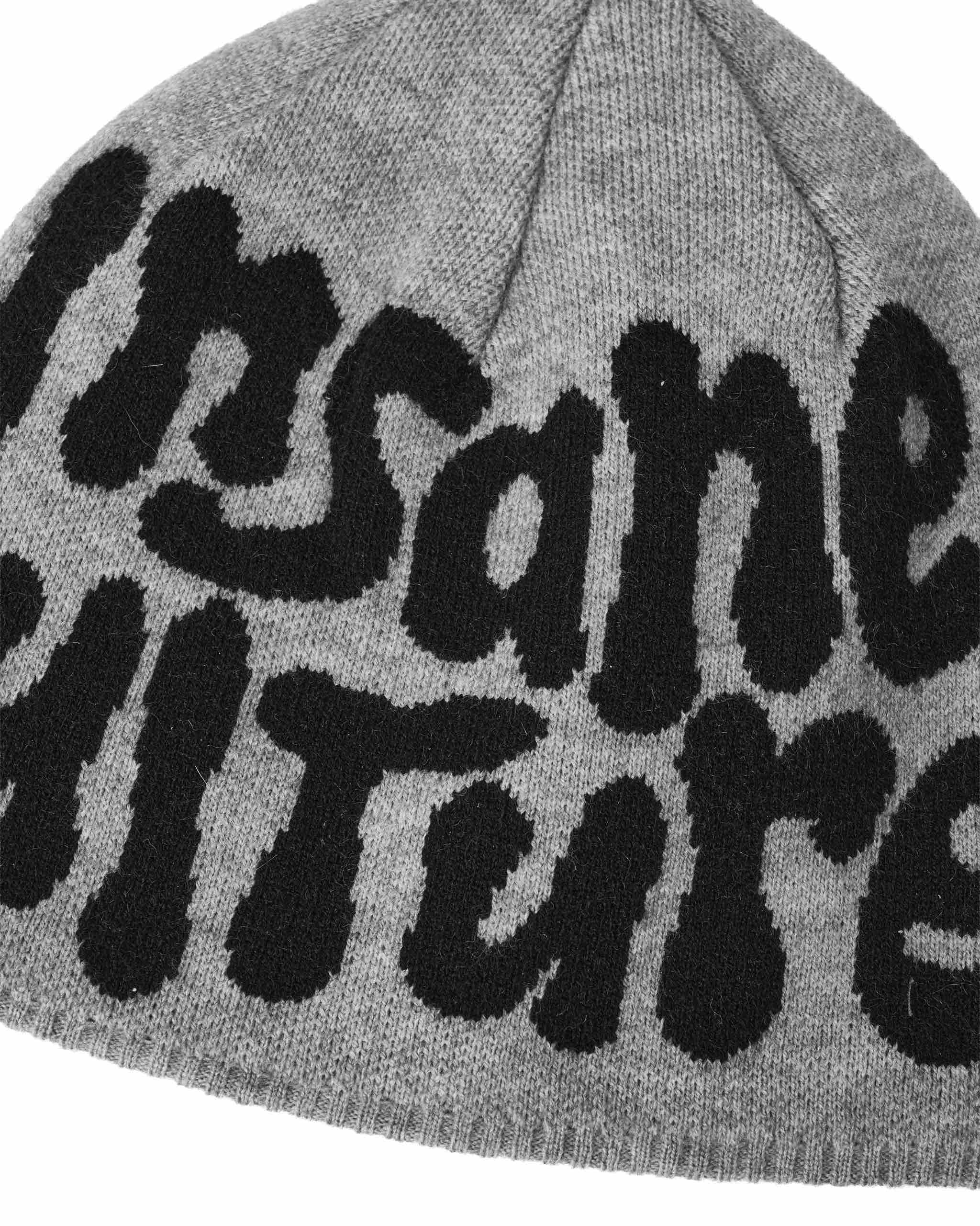 Insane® Vesper Beanie - Grey