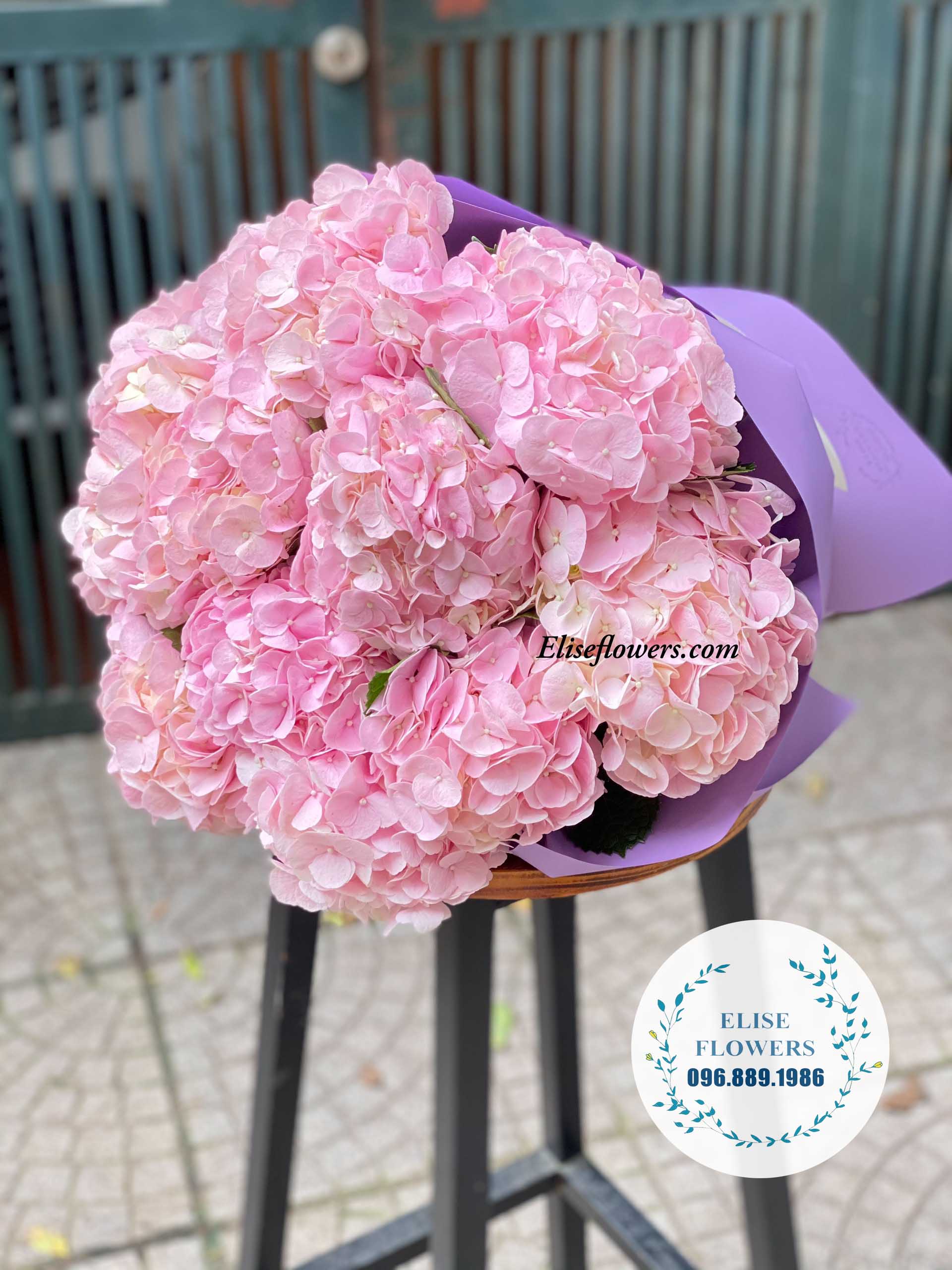 bó hoa cẩm tú cầu 10 bông đẹp - shop hoa tươi hà nội - elise flowers