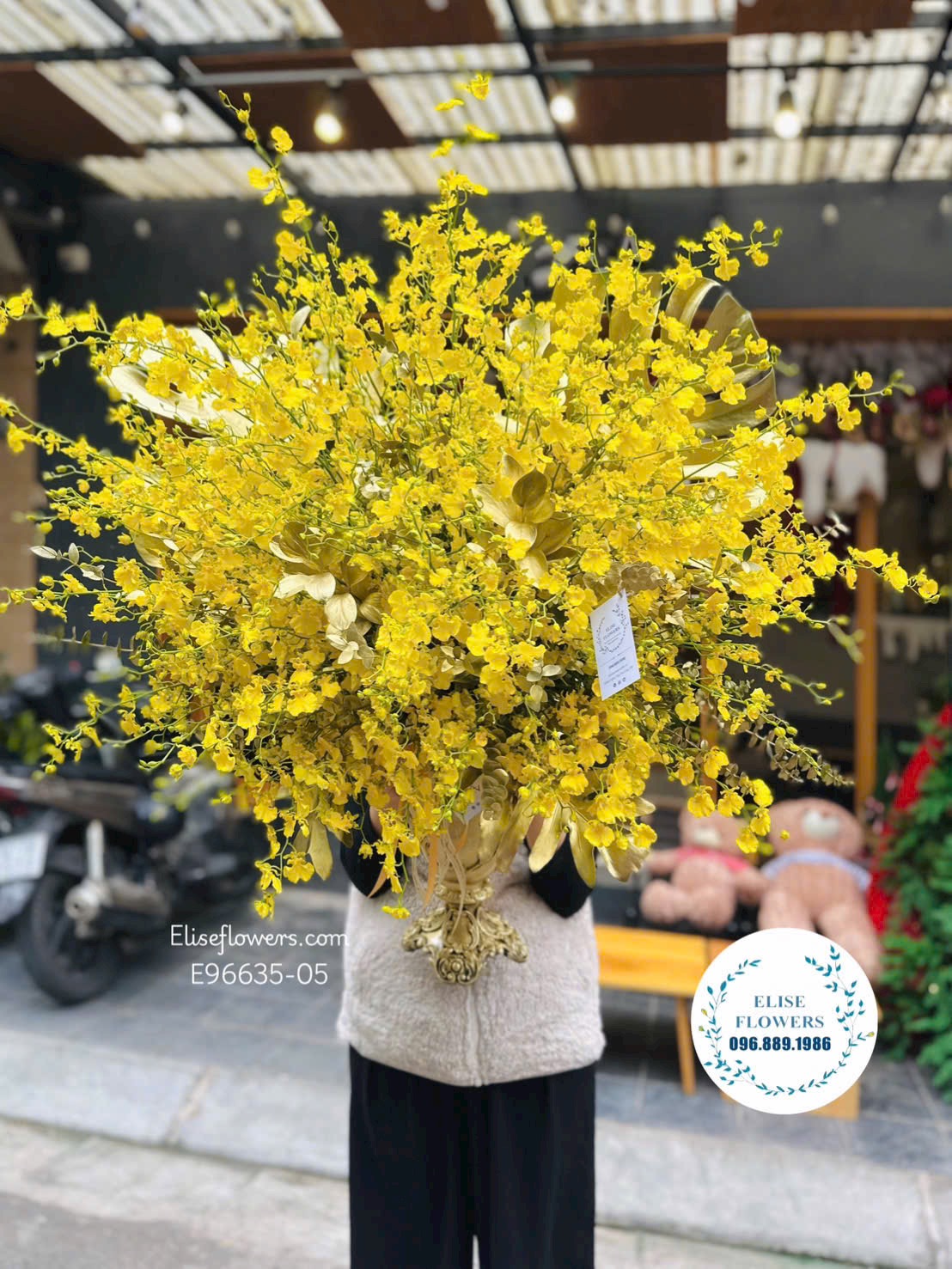 Bình lan vũ nữ tài lộc, may mắn tặng sếp tại Cầu Giấy, Hà Nội