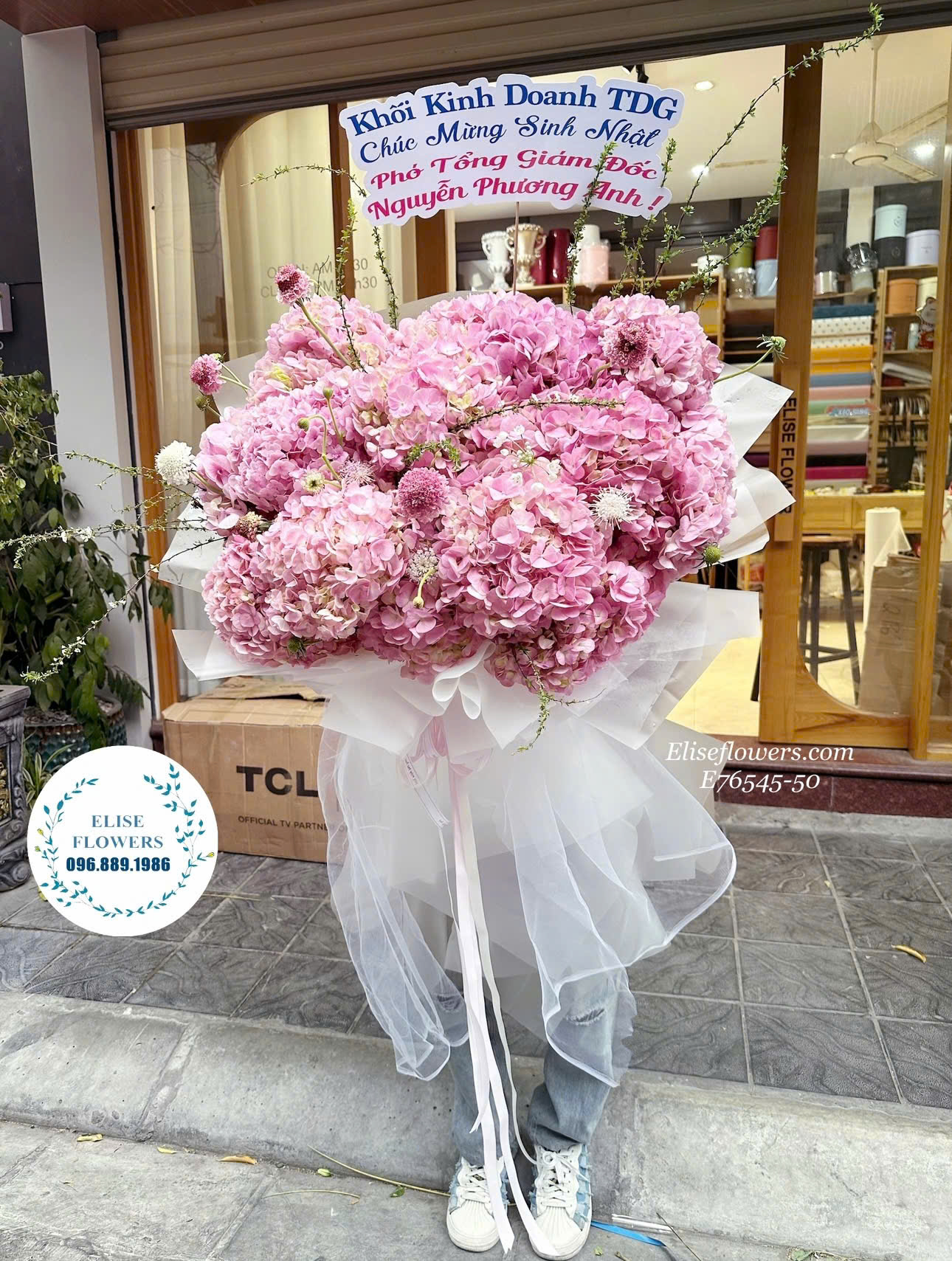 Hoa cẩm tú cầu hồng tại Hà Nội. Hoa cẩm tú cầu hồng nhập khẩu ở Hà Nội.