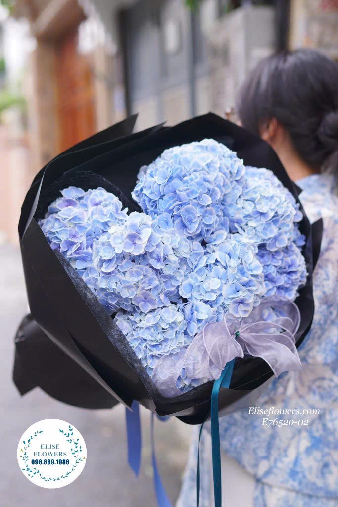 HOA CẨM TÚ CẦU XANH DƯƠNG TẶNG SẾP NỮ DỊP 8/3 . MUA HOA CẨM TÚ CẦU XANH DƯƠNG Ở HÀ NỘI. Elise Flowers