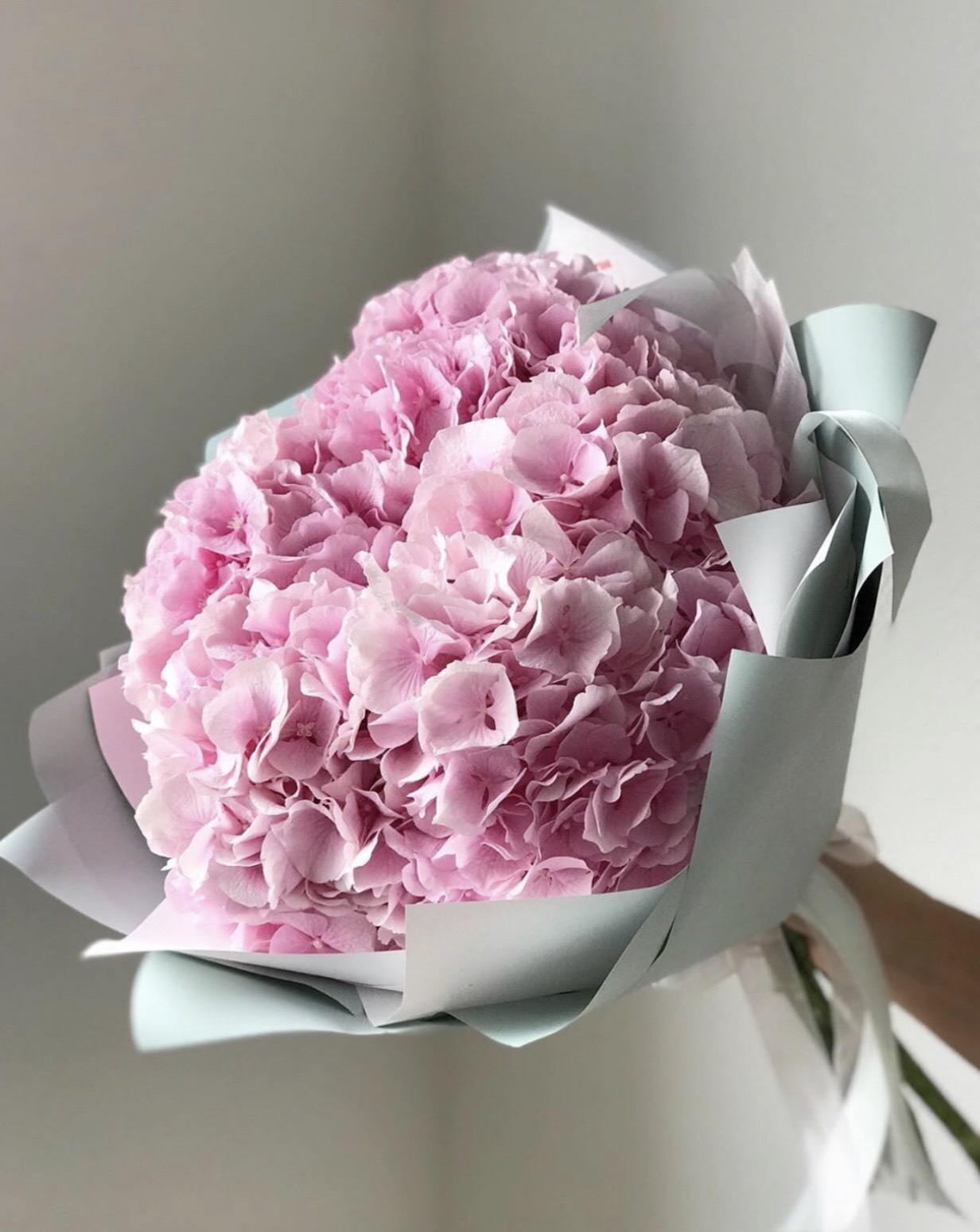 Bó hoa cẩm tú cầu nhập khẩu - 3 bông - eliseflowers Hoa tươi Cầu Giấy