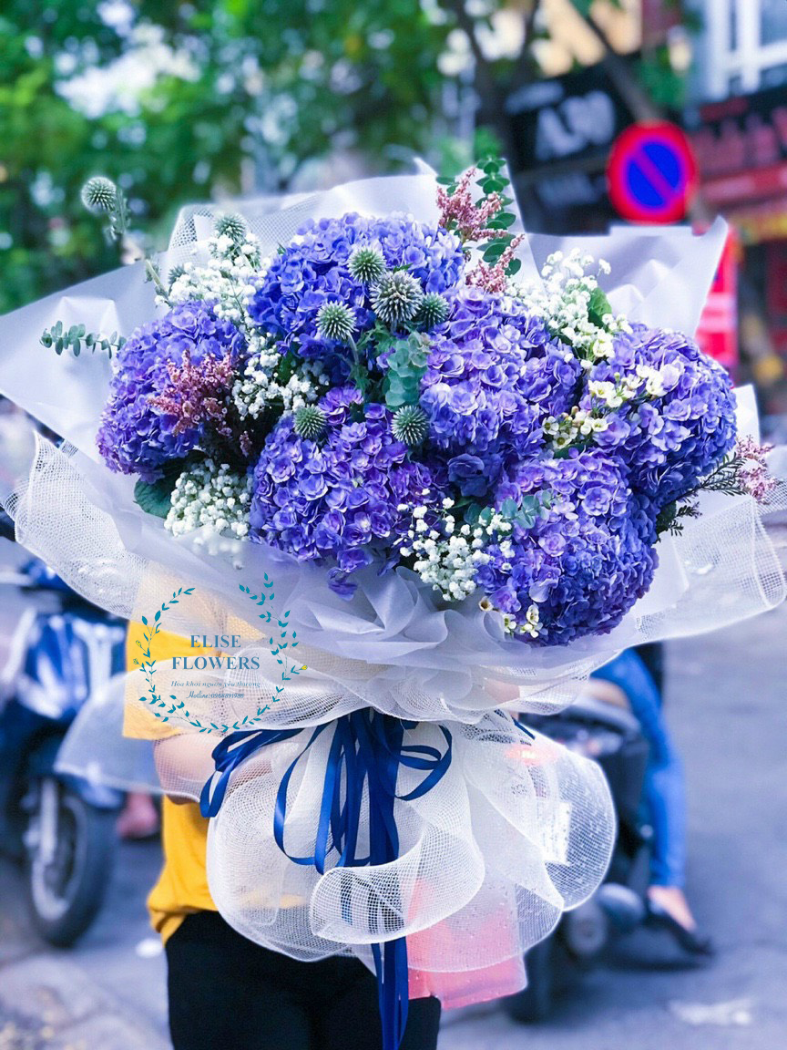 Bó hoa cẩm tú cầu nhập khẩu 6 bông - bó hoa cẩm tú cầu màu tím đẹp - hoa sinh nhật Hà Nội