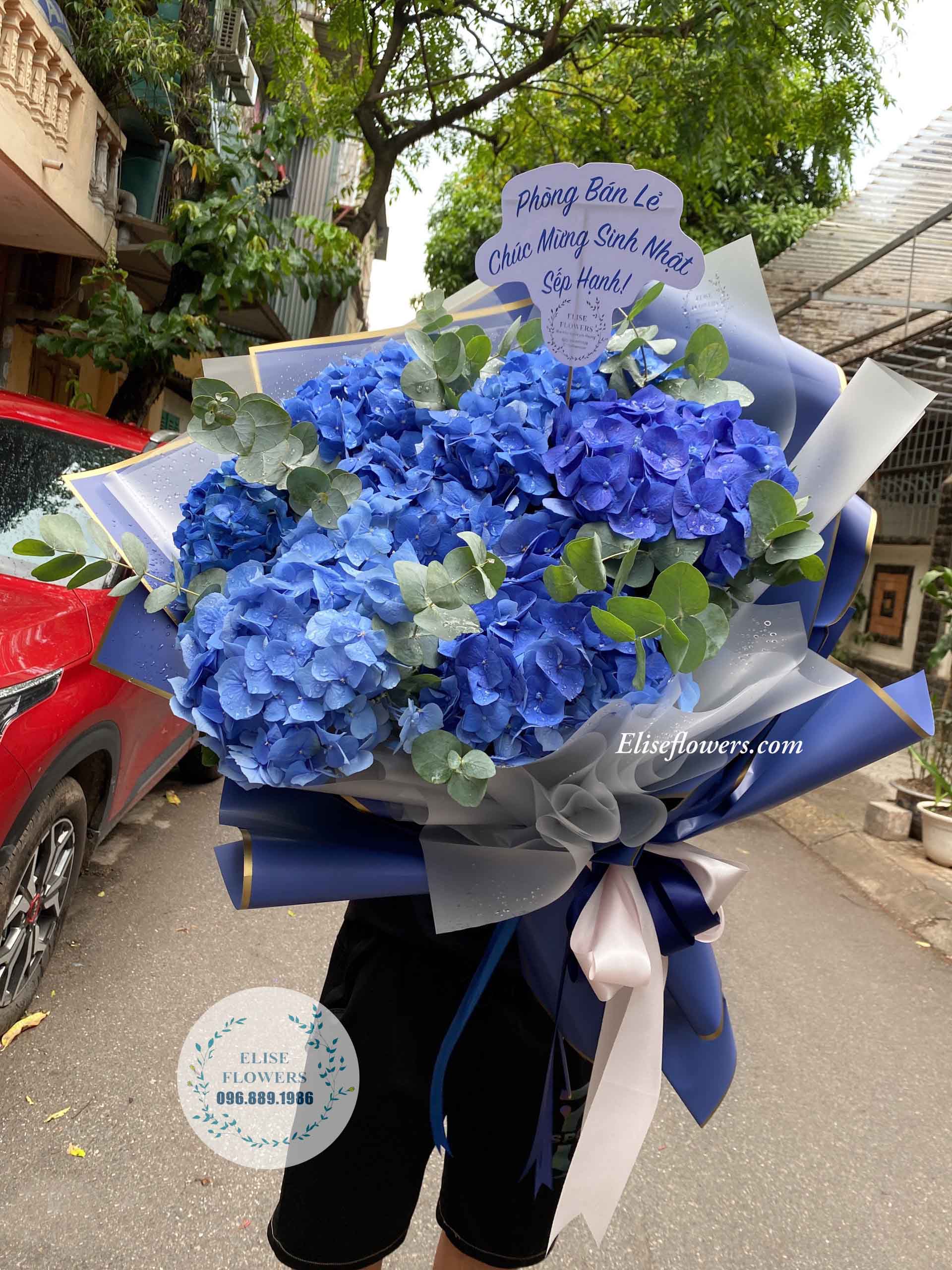 Bó hoa cẩm tú cầu màu xanh dương - Bó hoa cẩm tú cầu Hà Lan màu xanh dương đẹp ở Hà Nội