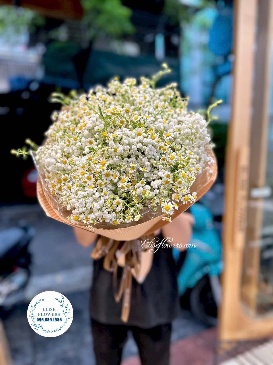 Mau-hoa-cuc-tana-tang-ban-gai-Dat-mua-bo-hoa-cuc-tana-tang-ban-gai