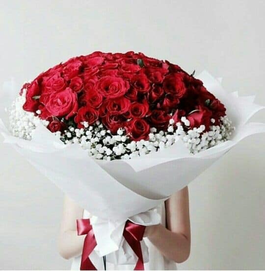 Bó hoa hồng đỏ 100 bông đẹp - Bó hoa hồng đỏ 100 bông đẹp nhất ở tại quận Cầu Giấy - Hà Nội