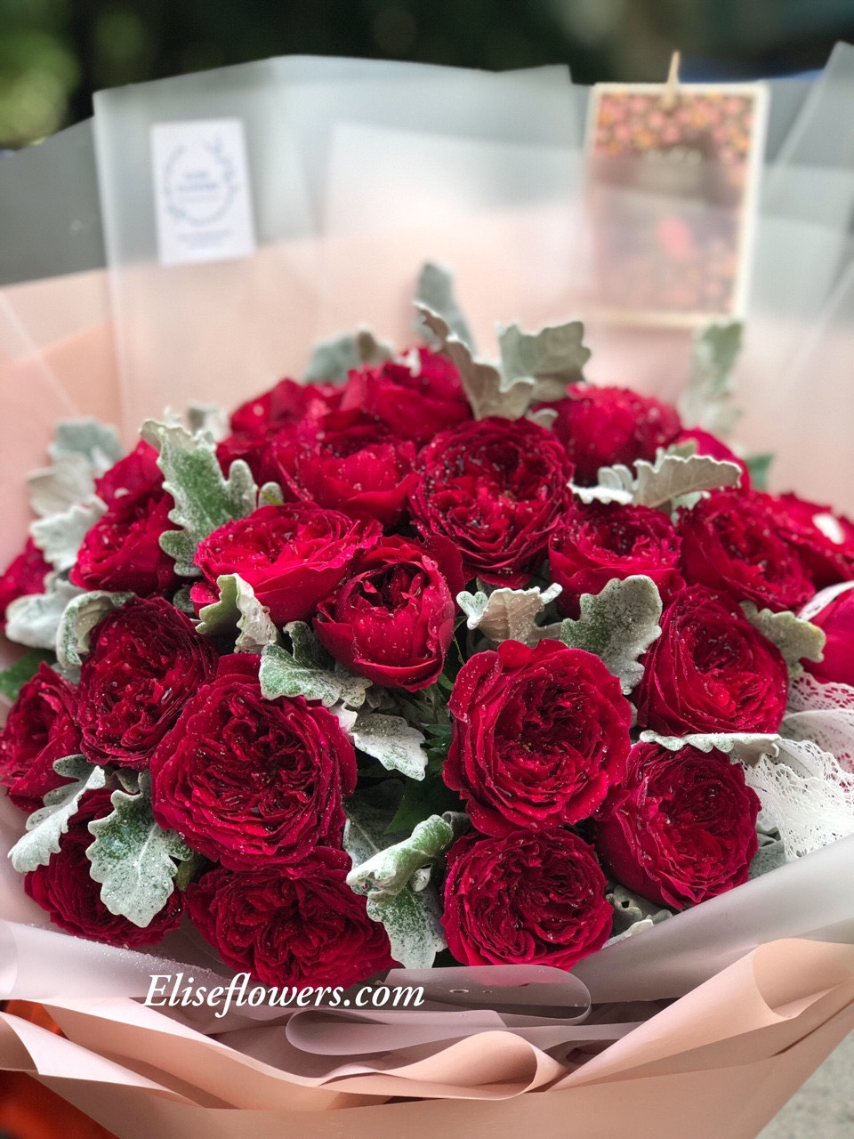 Bó hoa hồng đỏ đẹp - Bó hoa hồng đỏ ngoại Tess cao cấp sang trọng ...