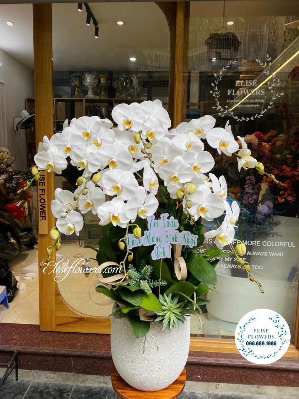 Chau-hoa-lan-ho-diep-trang-cao-cap-Mua-hoa-lan-ho-diep-tang-sinh-nhat-dep