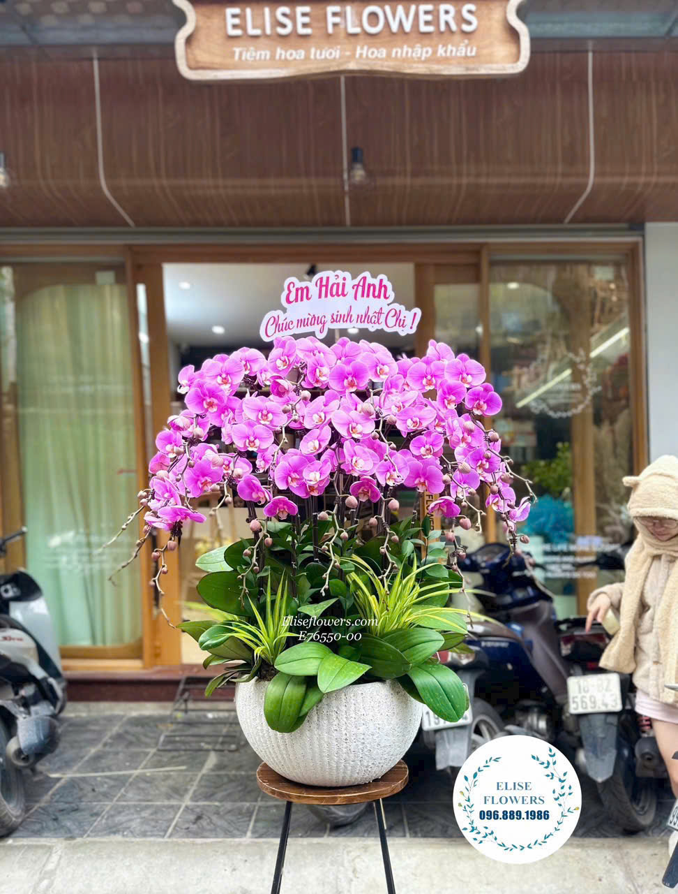 Hoa chúc mừng ngày thành lập Quân Đội Nhân Dân Việt Nam 22/12. Đặt lan hồ điệp tặng 22/12