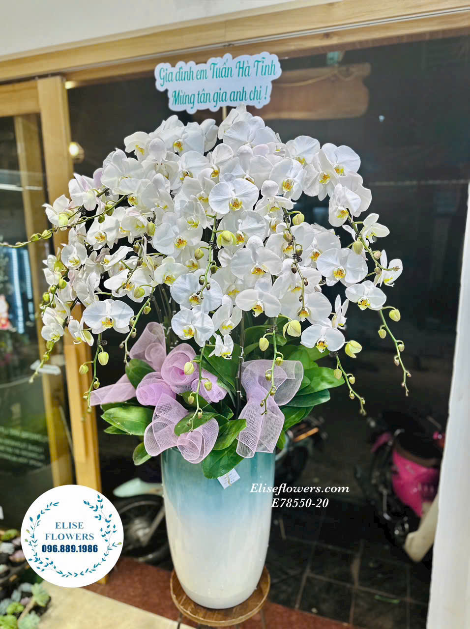 Chậu lan hồ điệp trắng biếu sếp tại Hà Nội. Điện hoa lan hồ điệp biếu tết