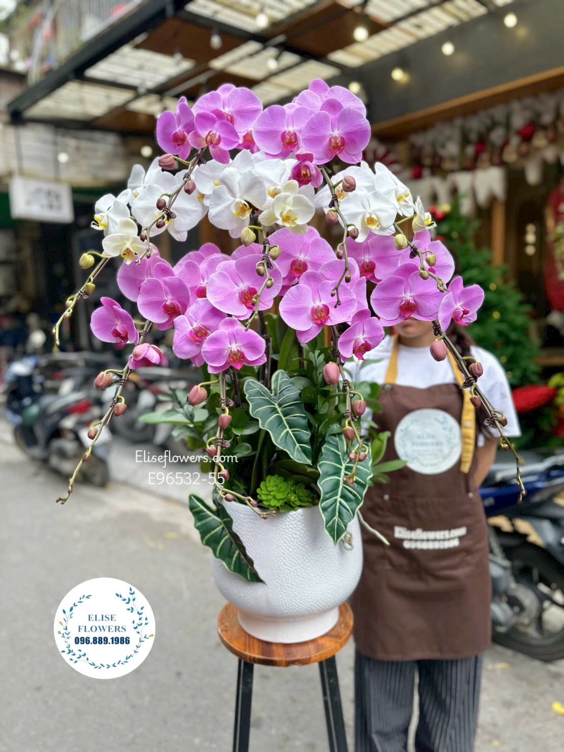 Chậu lan hồ điệp 9 cành phân tầng tặng bố yêu. Điện hoa Hà Nội Eliseflowers