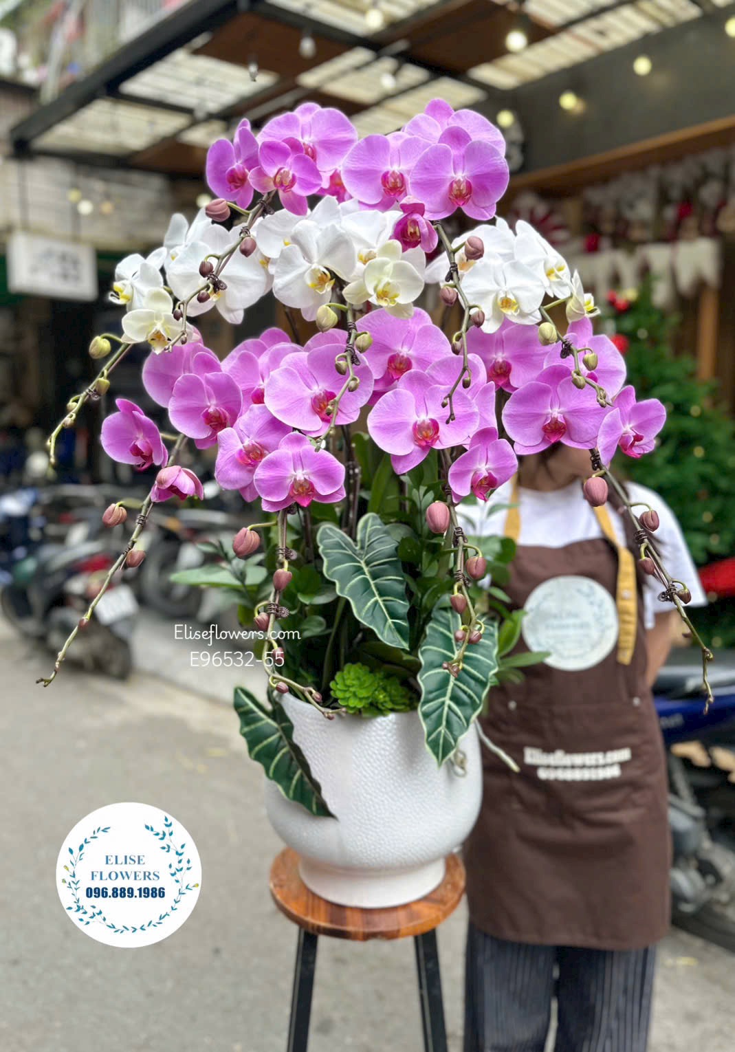 Lan hồ điệp Hà Nội. Chậu lan hồ điệp 9 cành phân tầng tặng bố yêu. Địa chỉ mua hoa uy tín