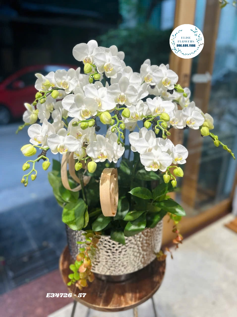 Chậu lan hồ điệp trắng cao cấp, sang trọng. Điện hoa Hà Nội - Eliseflowers