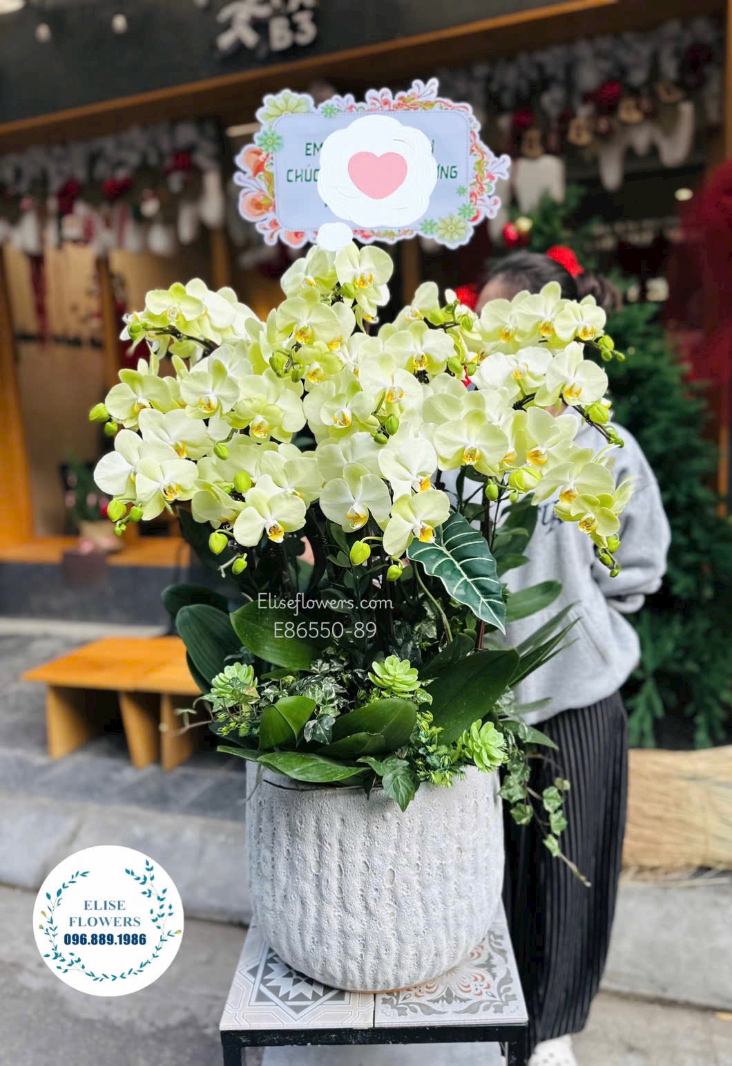 Lan hồ điệp khai trương. Hoa khai trương đẹp. Địa chỉ giao hoa uy tín Hà Nội - Eliseflowers