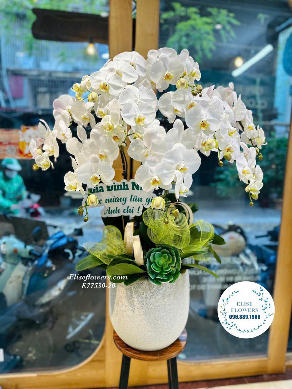 Chậu hoa lan hồ điệp đẹp. Đặt mua chậu hoa lan hồ điệp cao cấp