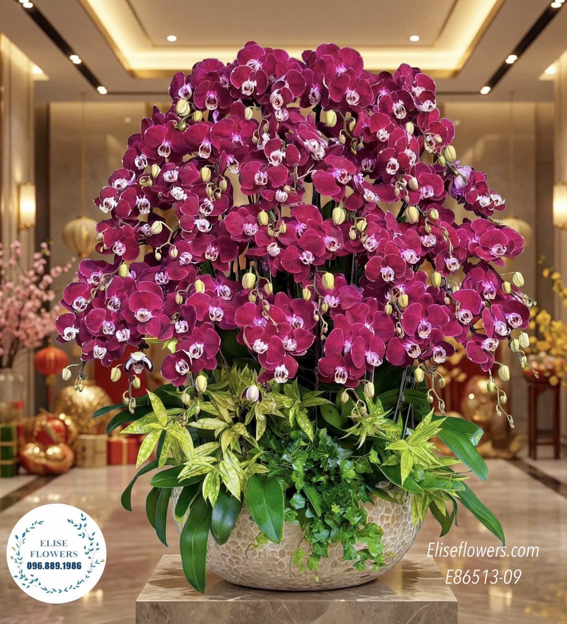 Lan hồ điệp sinh nhật. Chậu lan hồ điệp đỏ ngọc trai đẳng cấp tặng sếp, đối tác