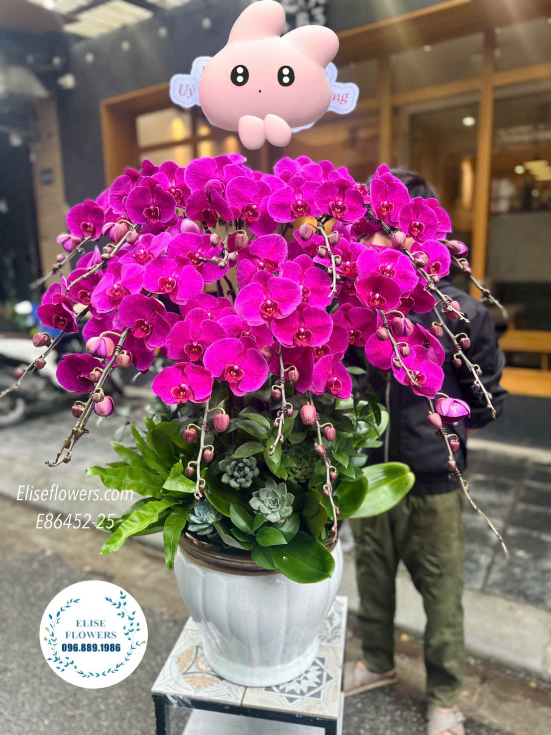 Chậu lan hồ điệp đỏ ớt cao cấp. Lan hồ điệp khai trương sang trọng tại quận Đống Đa. Điện hoa Hà Nội