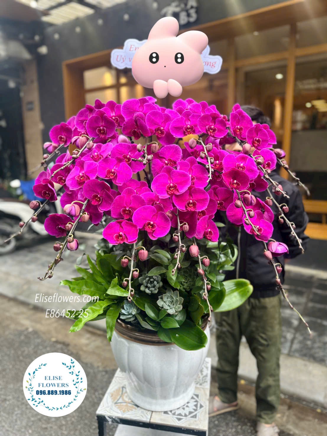 Chậu lan hồ điệp đỏ ớt cao cấp. Lan hồ điệp khai trương sang trọng tại quận Đống Đa