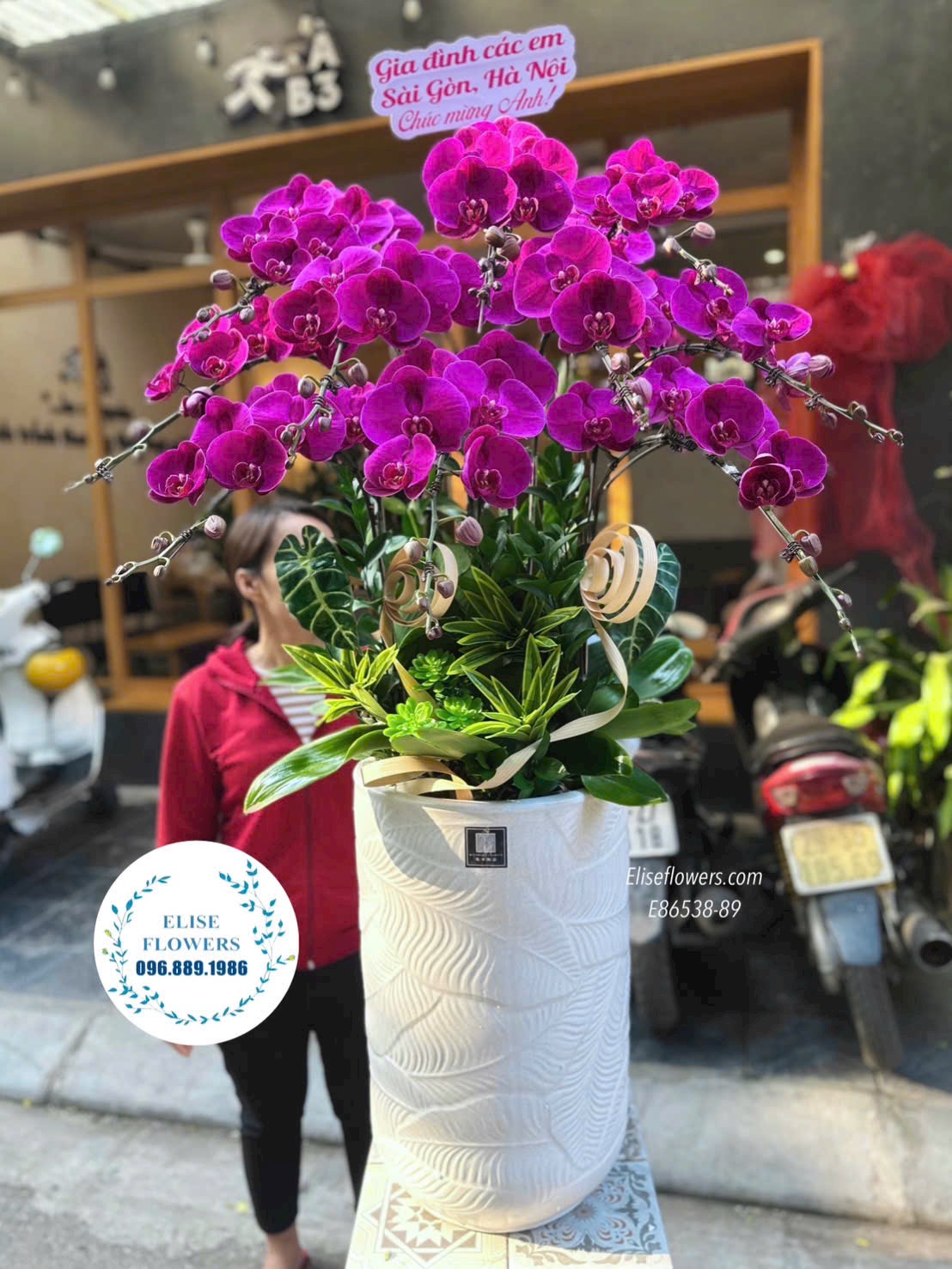 Chậu lan hồ điệp đỏ ớt sang trọng. Lan hồ điệp tặng sếp. Điện hoa Hà Nội. Eliseflowers