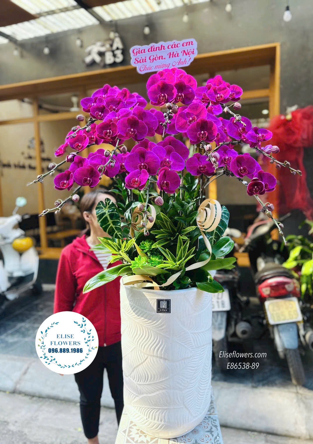 Chậu lan hồ điệp đỏ ớt sang trọng. Lan hồ điệp tặng sếp. Điện hoa Hà Nội