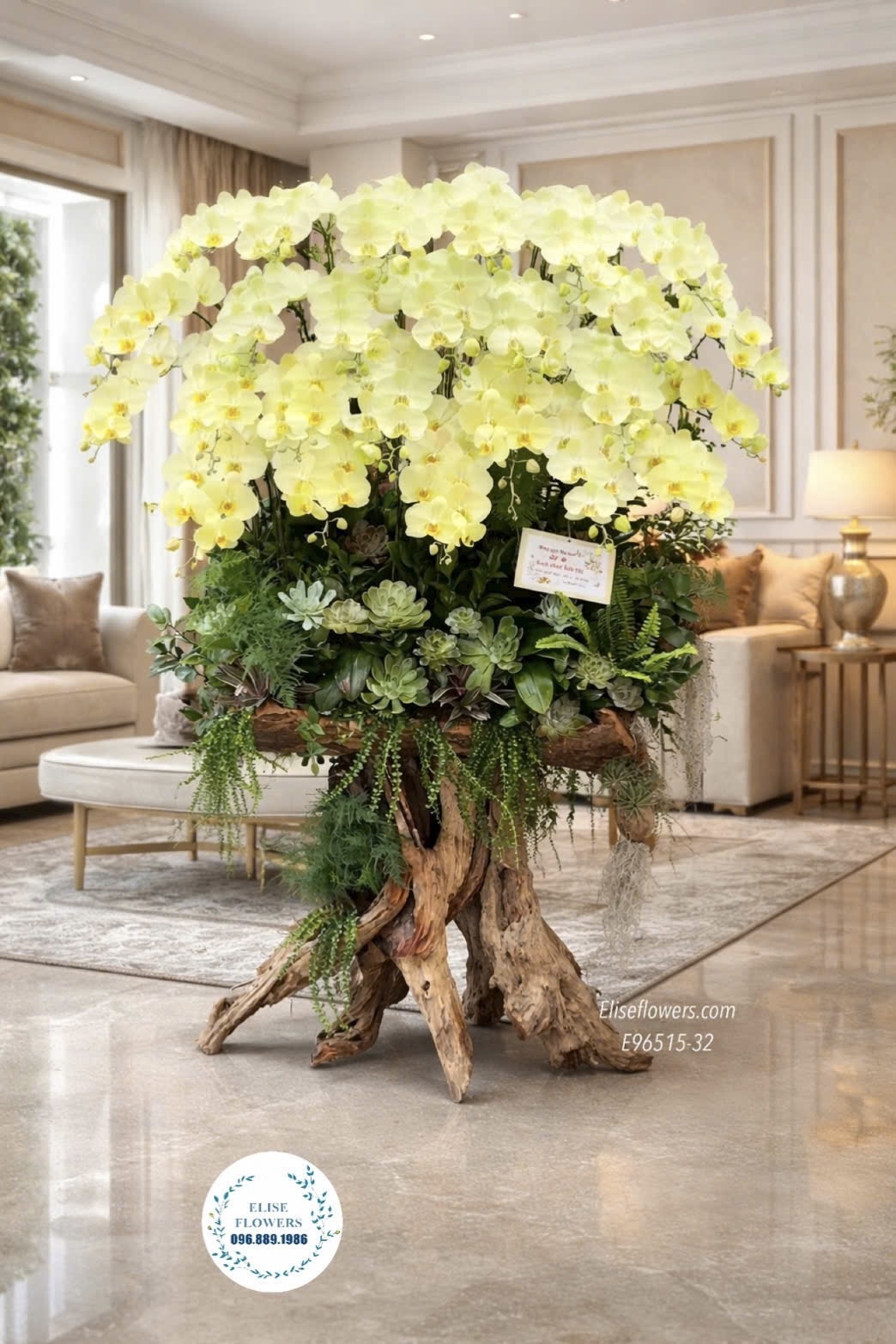 Chậu lan hồ điệp vàng. Chậu lan hồ điệp ghép lũa tài lộc, phú quý chưng sảnh. Eliseflowers