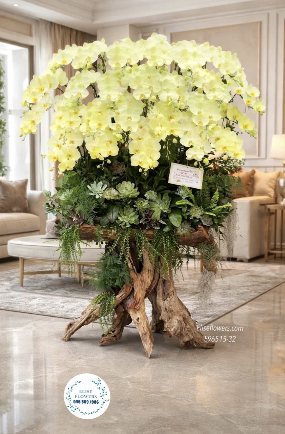 Đặt mua chậu lan hồ điệp vàng. Chậu lan hồ điệp ghép lũa tài lộc, phú quý tặng sếp, đối tác