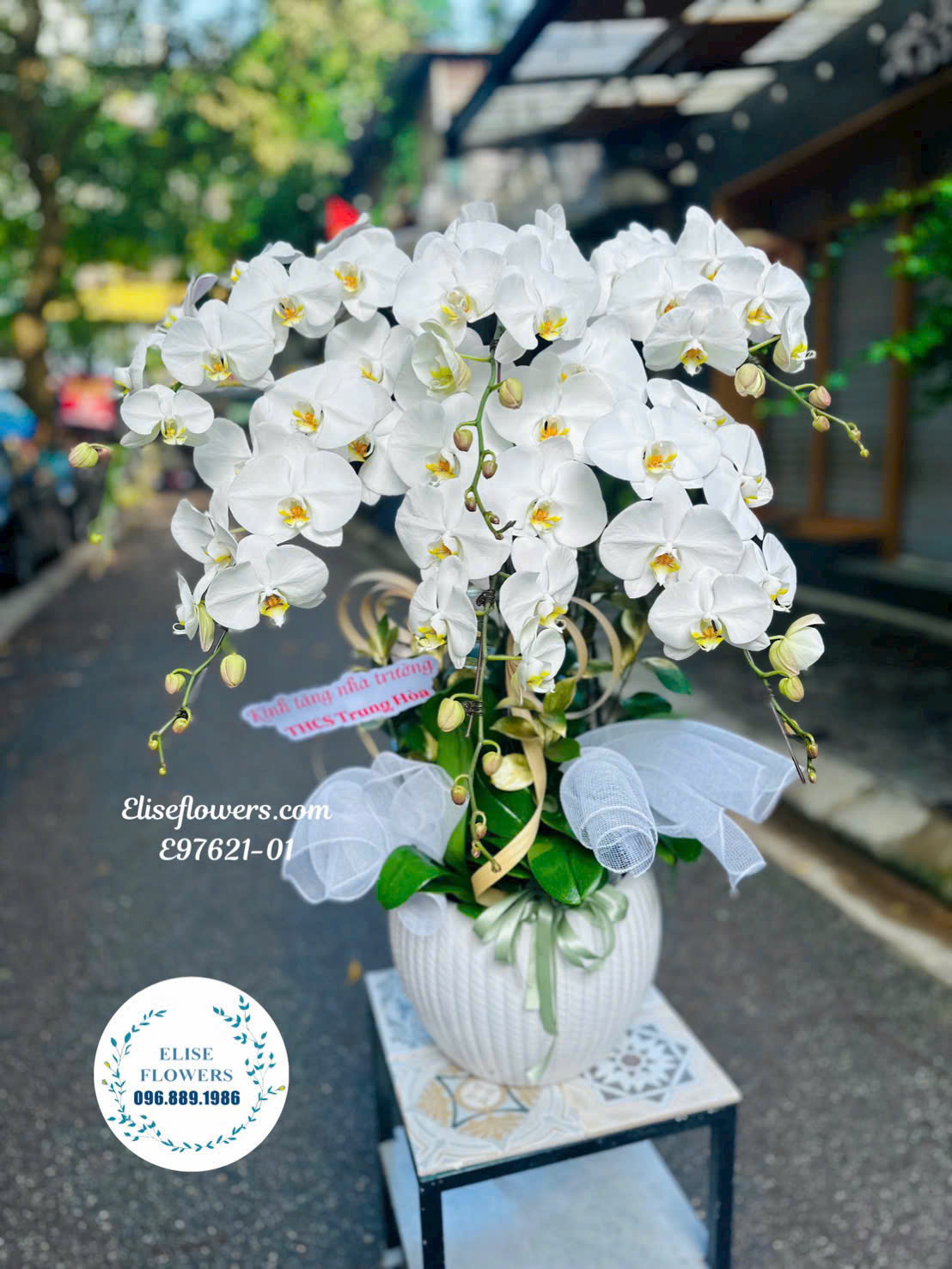 Chậu lan hồ điệp trắng 6 cành. Điện hoa lan hồ điệp. Dịch vụ giao chậu lan hồ điệp tận nơi, nhanh chóng