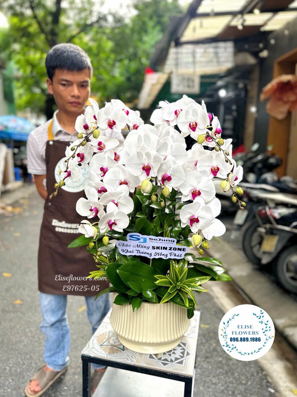 Lan hồ điệp Hà Nội. Chậu lan hồ điệp 7 cành lưỡi hồng mừng tân gia. Eliseflowers