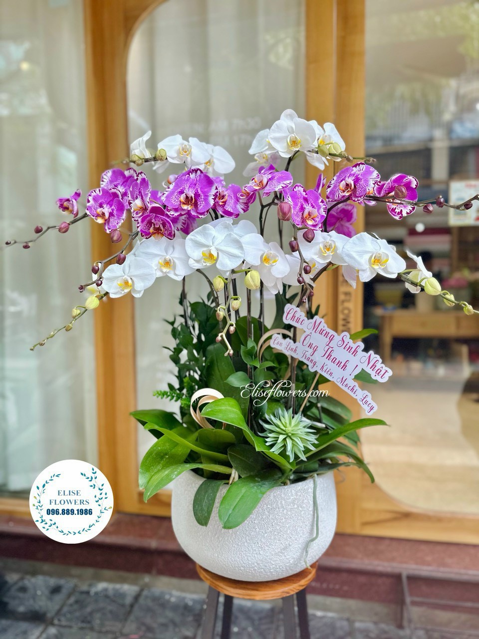 Chau-lan-ho-diep-cao-cap-o-Ha-Noi-Dat-mua-hoa-lan-ho-diep-cao-cap-o-Ha-Noi