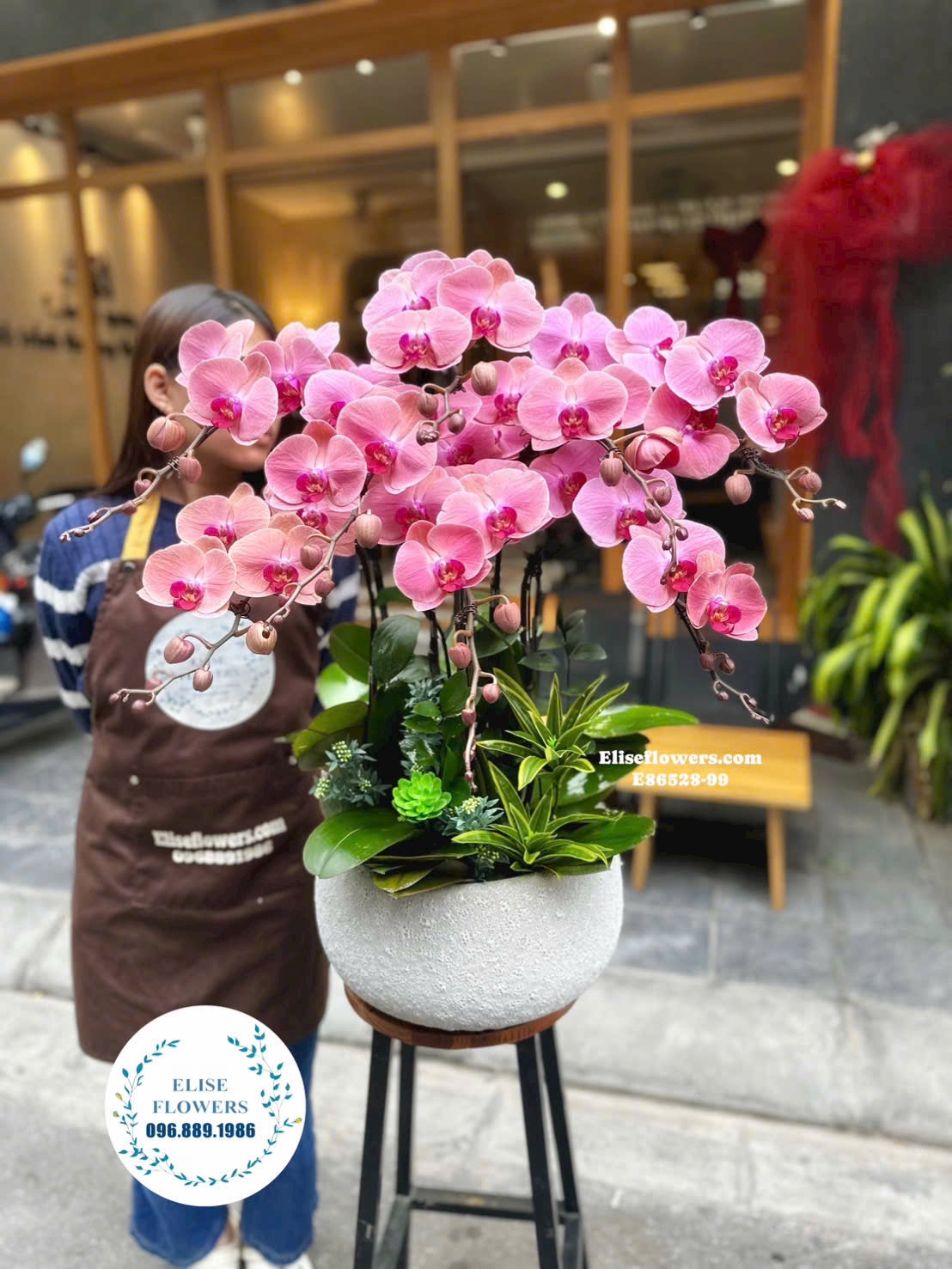 Đặt mua lan hồ điệp chơi tết. Chậu lan hồ điệp tài lộc, đại cát chưng nhà tại Eliseflowers. Giao hoa tận nơi