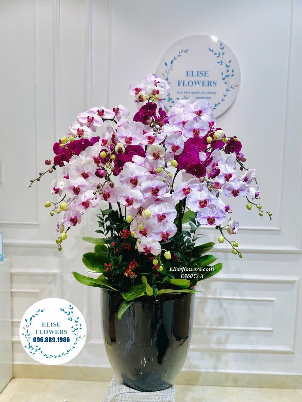 Chậu lan hồ điệp Hà Nội. Mua chậu lan hồ điệp tím hồng 15 cành tại Eliseflowers