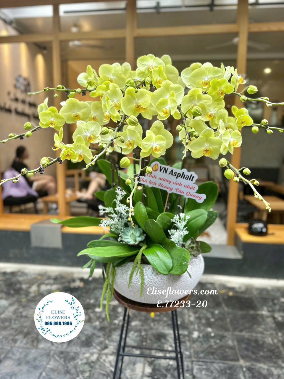 Chậu lan hồ điệp biếu sếp. Đặt mua chậu hoa lan hồ điệp đẹp tại Hà Nội
