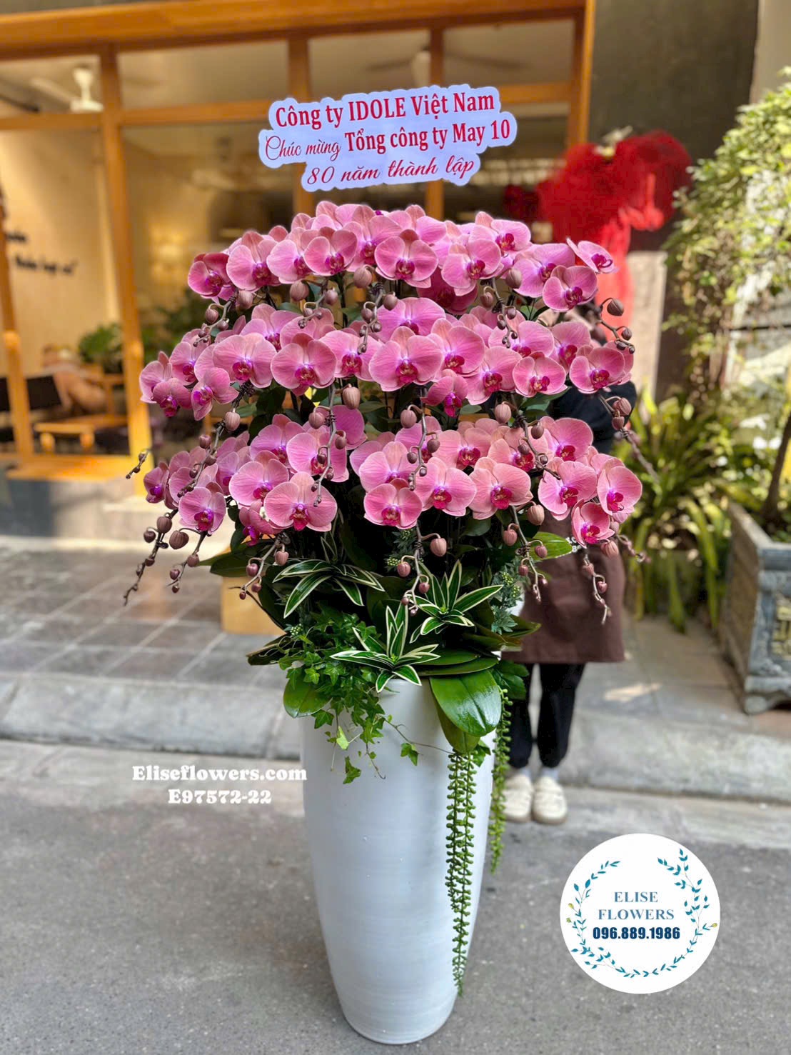 Hoa sinh nhật Thanh Xuân. Mua chậu lan hồ điệp to tặng sinh nhật sếp