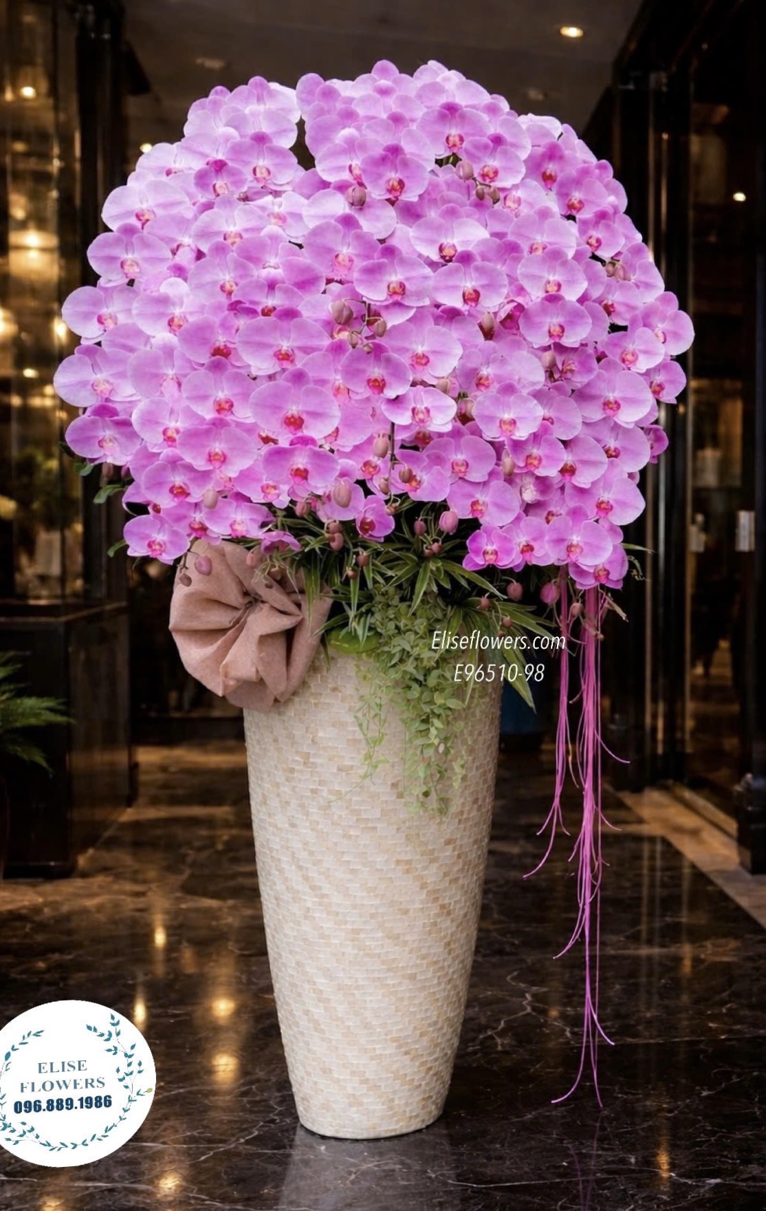 Chậu lan hồ điệp khai trương. Chậu lan tím phong thuỷ, thịnh vượng. Địa chỉ mua lan uy tín