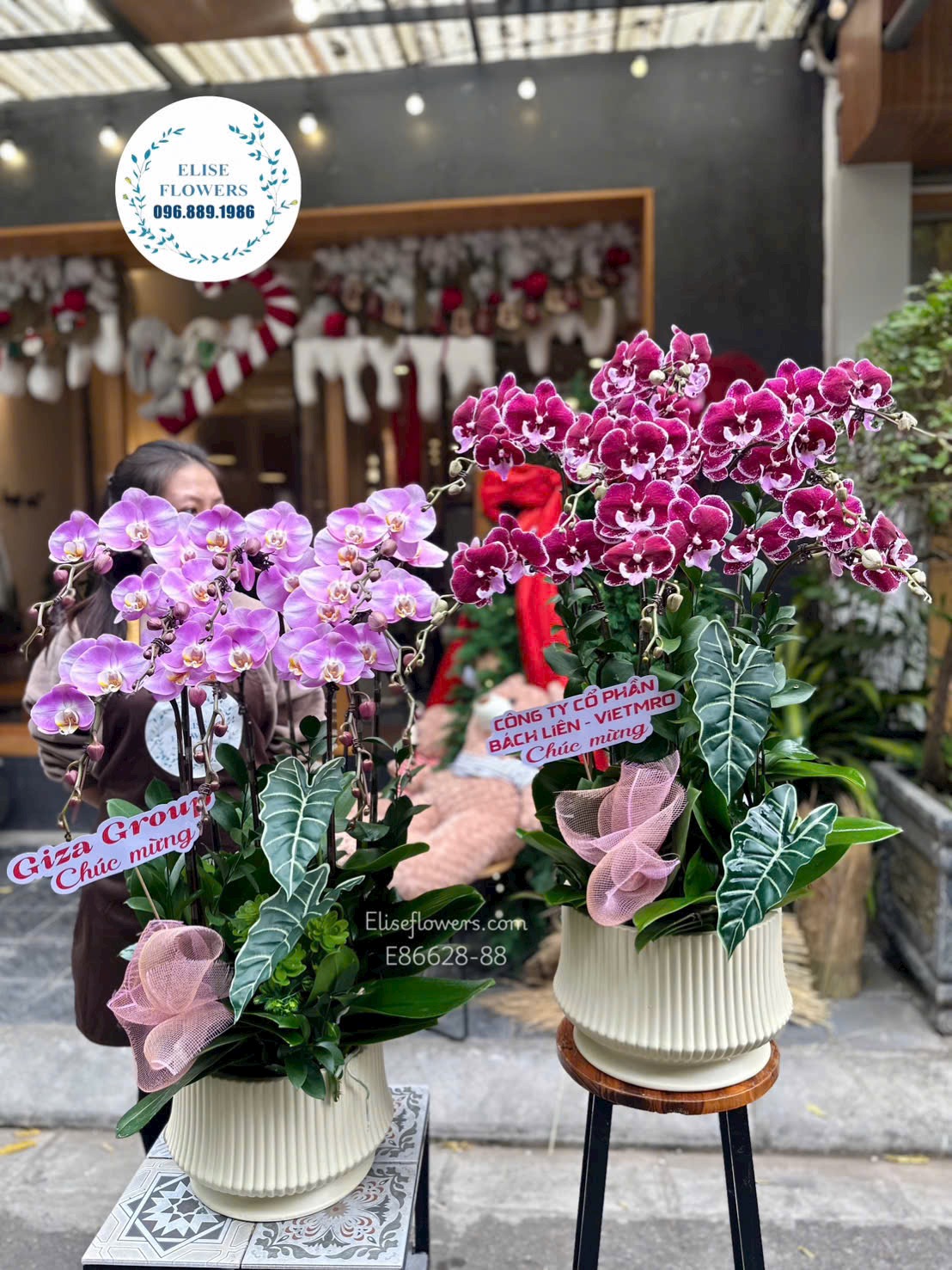 Lan hồ điệp sinh nhật đẹp. Lan hồ điệp hai bà trưng. Điện hoa Hà Nội Eliseflowers