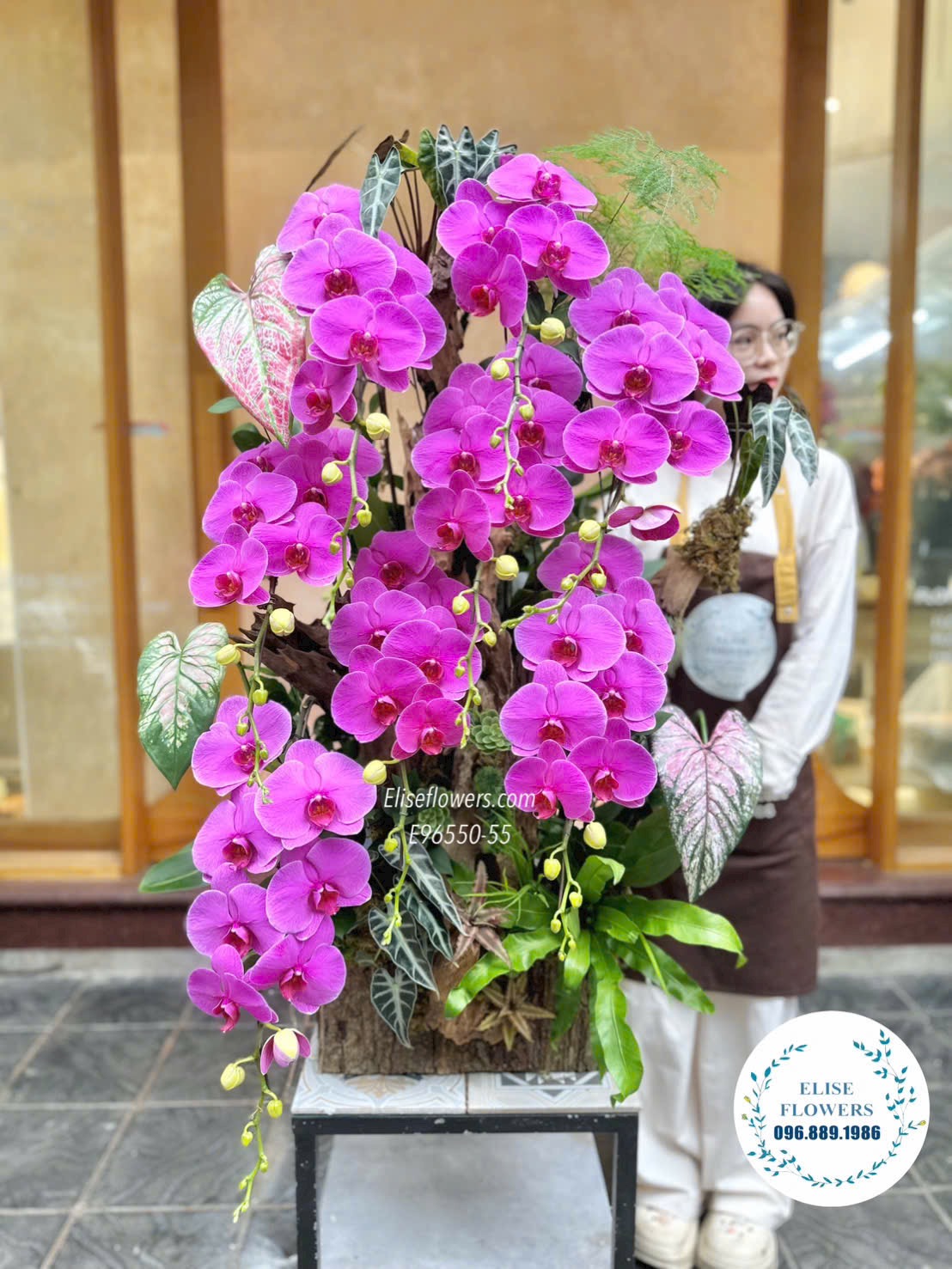 Chậu lan hồ điệp tím ghép lũa sang trọng biếu sếp ở Hà Nội