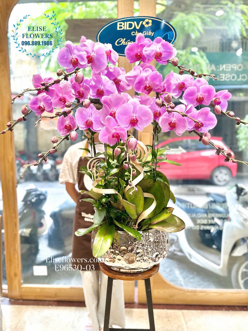 Chậu lan hồ điệp cao cấp tặng đối tác ở Hà Nội. Hoa lan hồ điệp tím hồng nhập khẩu Hà Nội.