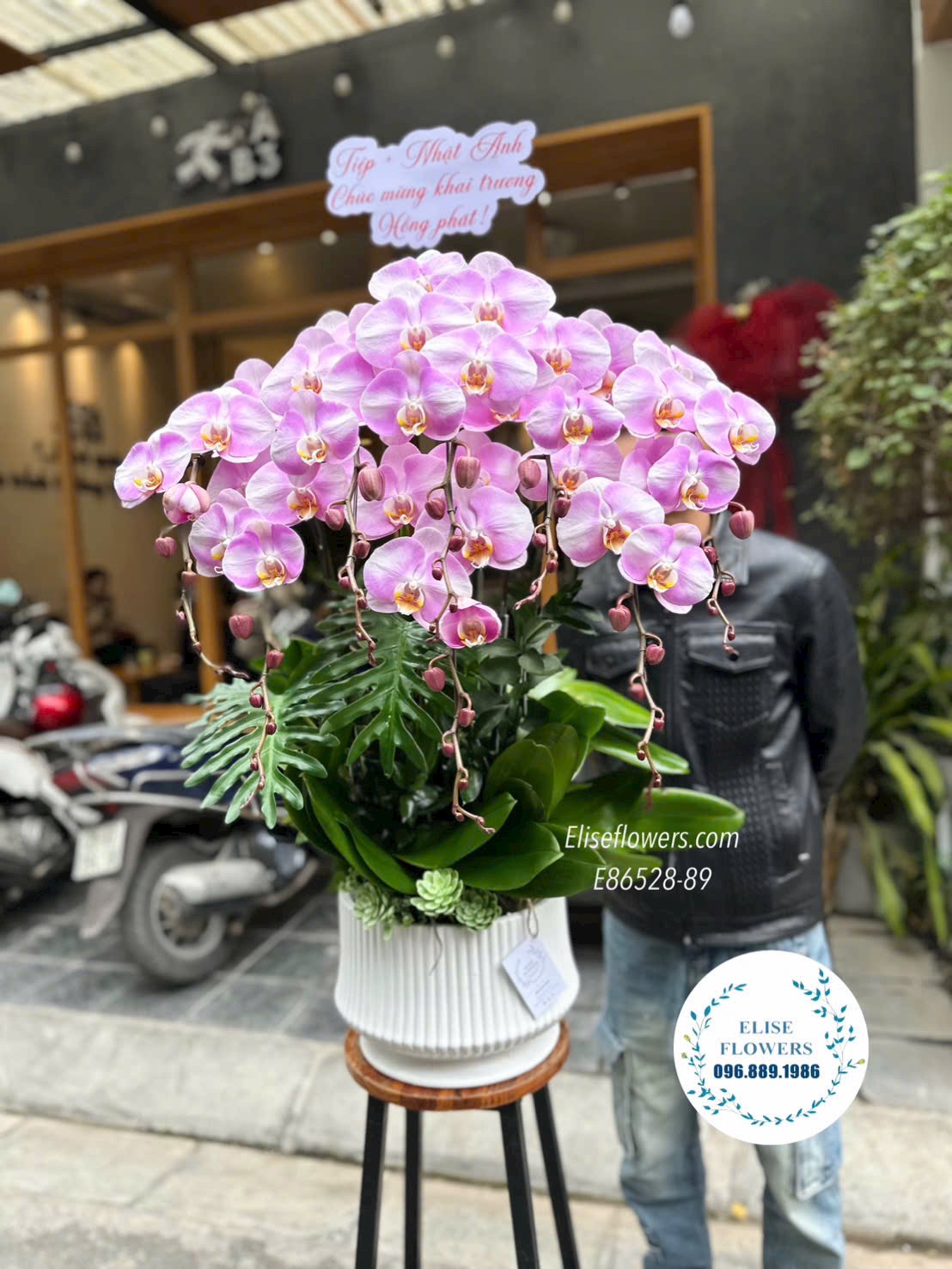 Lan hồ điệp Ba Đình. Chậu lan hồ điệp tím phong thuỷ. Lan hồ điệp khai trương cao cấp. Địa chỉ mua hoa uy tín