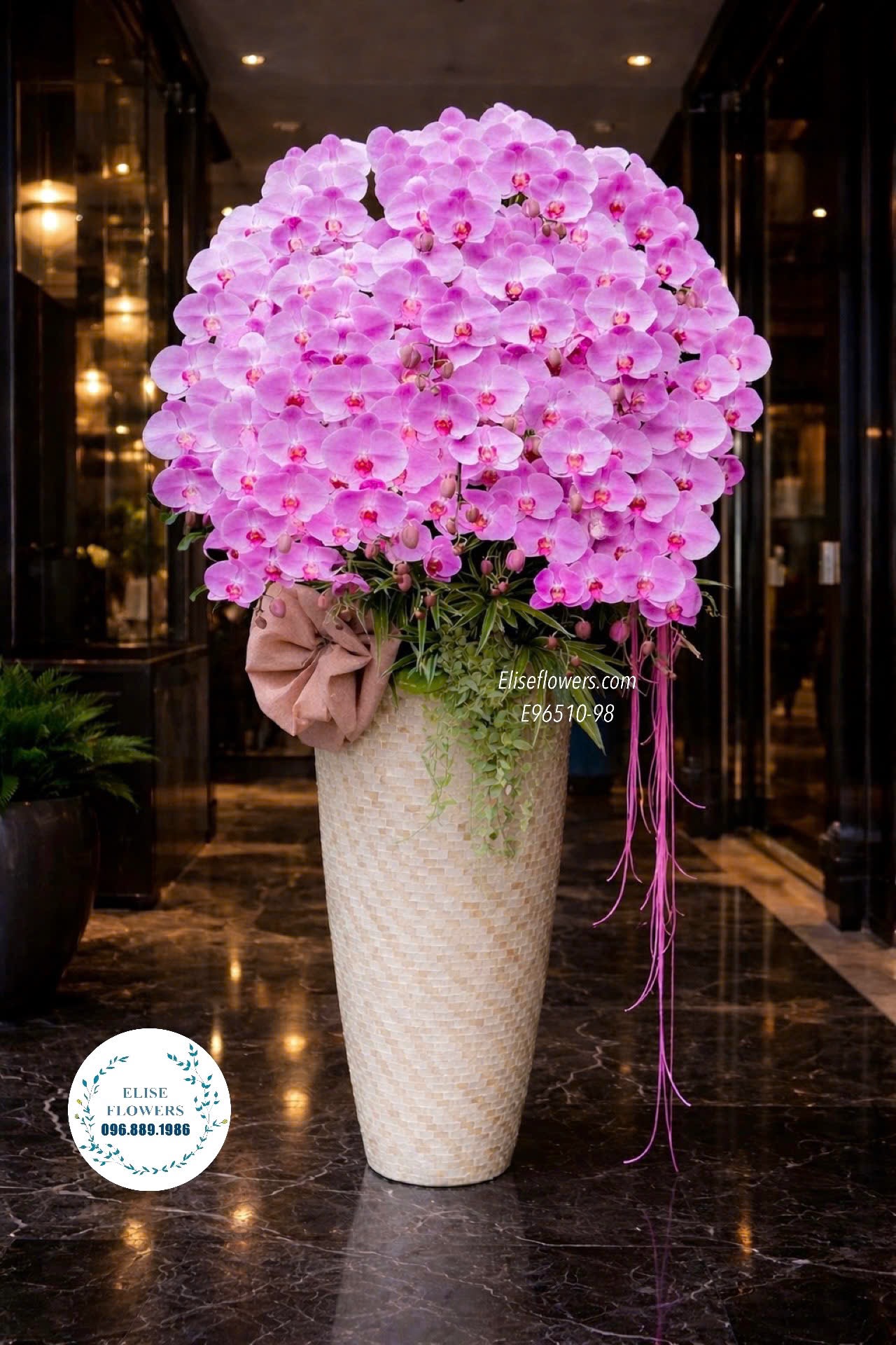 Chậu lan hồ điệp khai trương. Chậu lan tím sang trọng, uy nghi