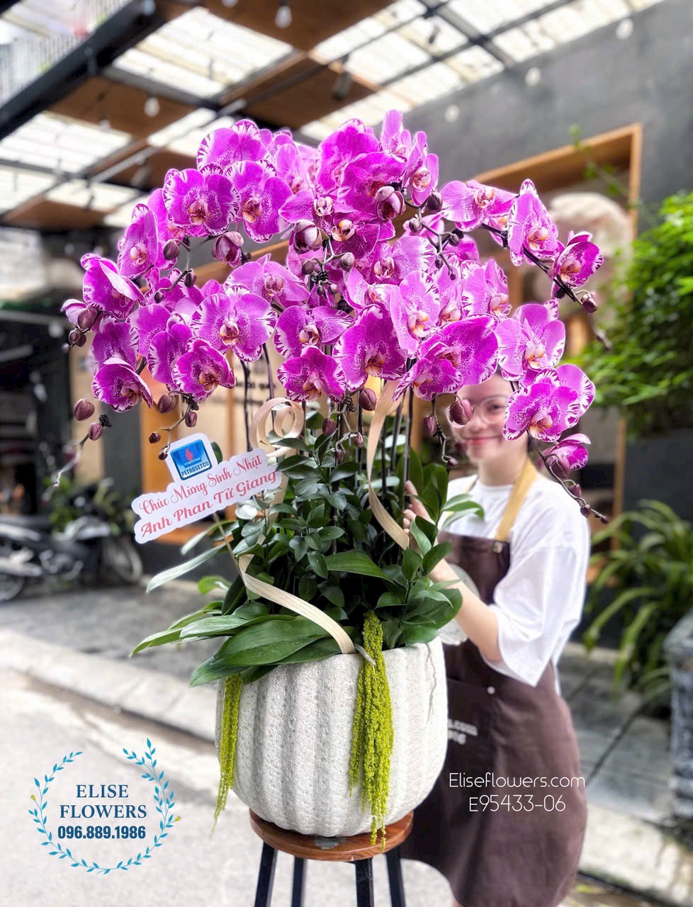 Chậu lan hồ điệp tím sang trọng tặng đối tác ở Nam Từ Liêm. Địa chỉ mua lan hồ điệp uy tín Hà Nội - Eliseflowers