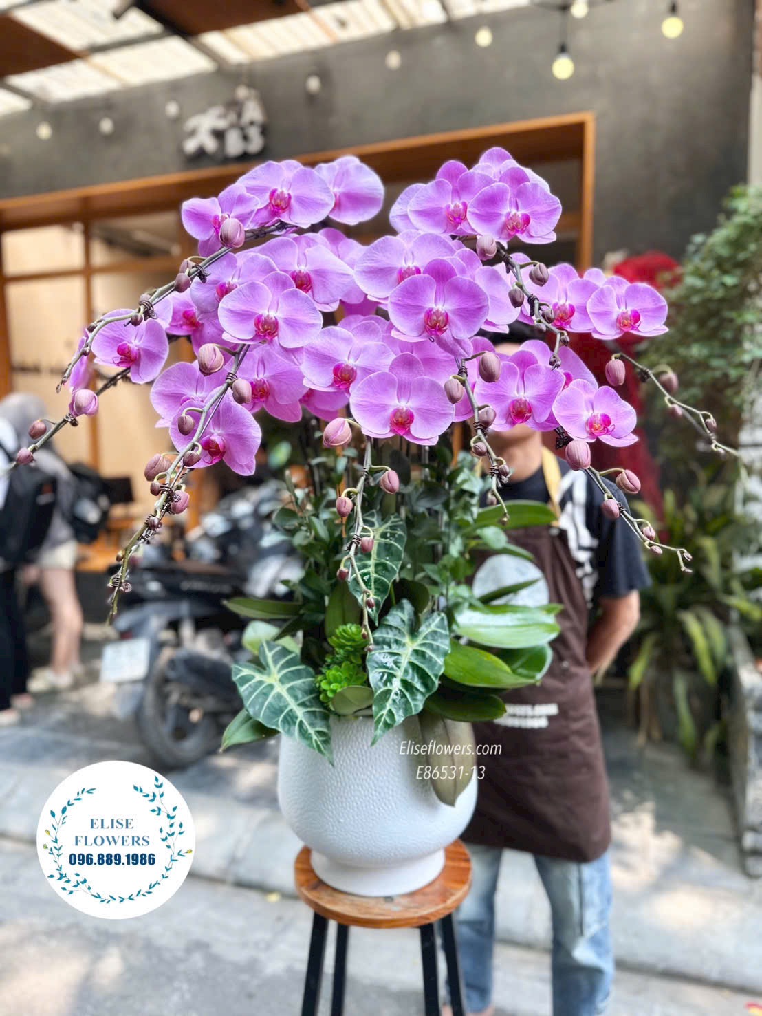 Chậu lan hồ điệp tím. Lan hồ điệp Hà Nội. Lan hồ điệp sinh nhật. Điện hoa tươi Eliseflowers