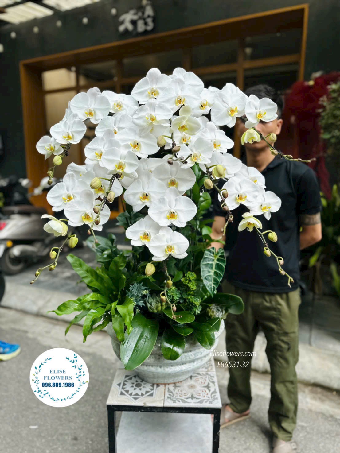 Chậu lan hồ điệp trắng cao cấp tại Eliseflowers Cầu Giấy.