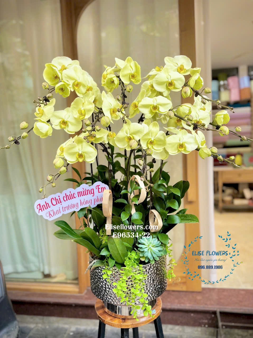 Lan hồ điệp hà nội. Mua chậu lan hồ điệp màu vàng mừng tân gia