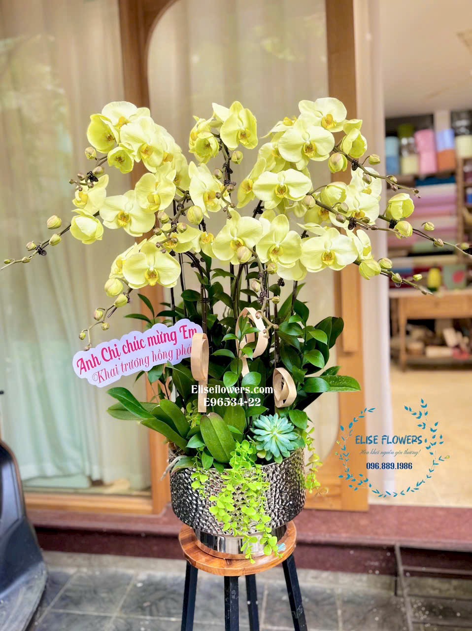 Chậu lan hồ điệp vàng phú quý tặng tân gia. Eliseflowers