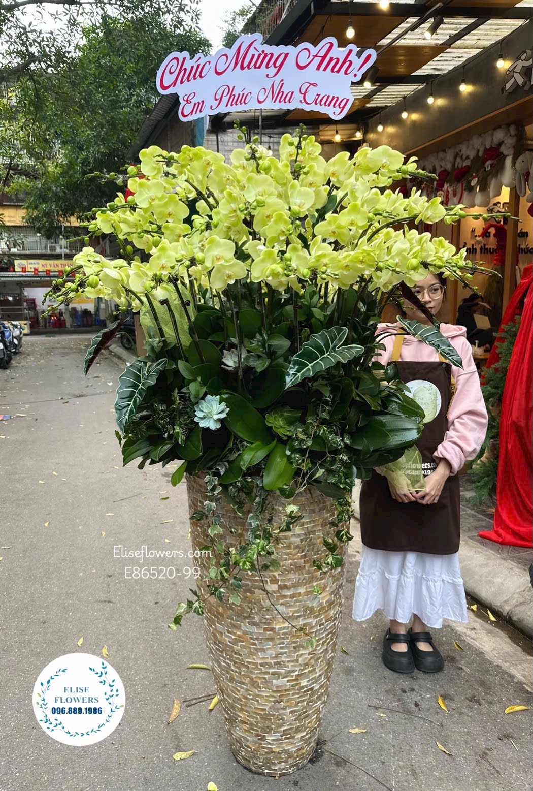 Hoa mừng tân gia đẹp. Chậu lan hồ điệp khổng lồ mừng tân gia. 