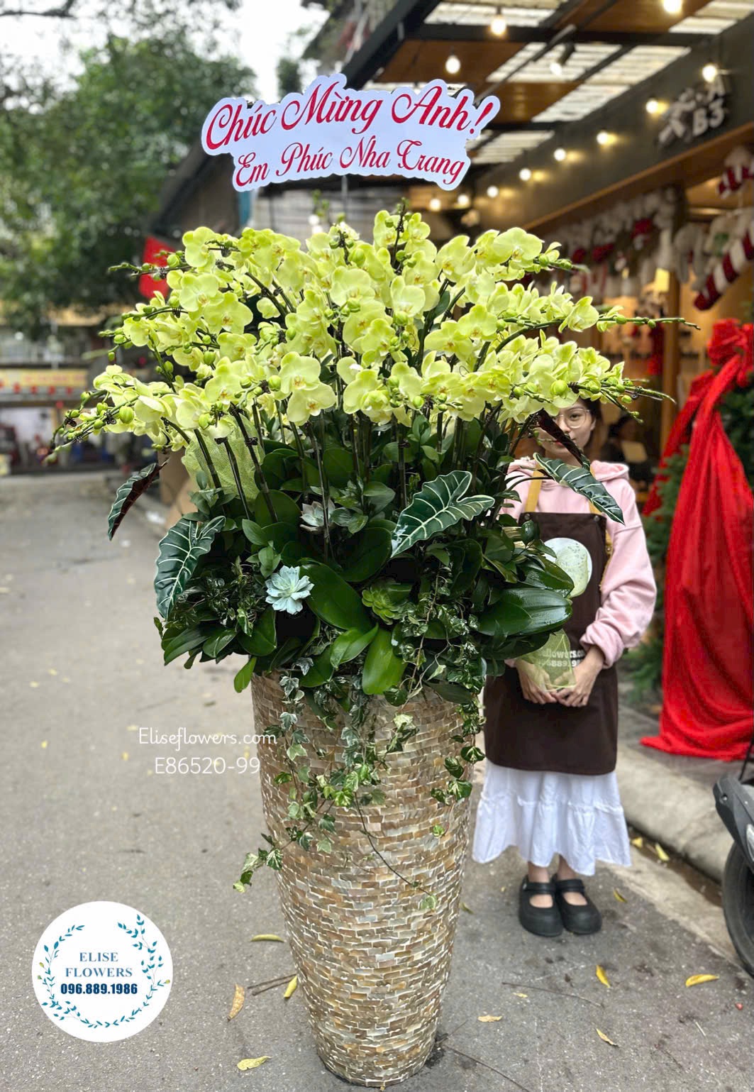 Hoa mừng tân gia đẹp. Chậu lan hồ điệp khổng lồ mừng tân gia | Eliseflowers