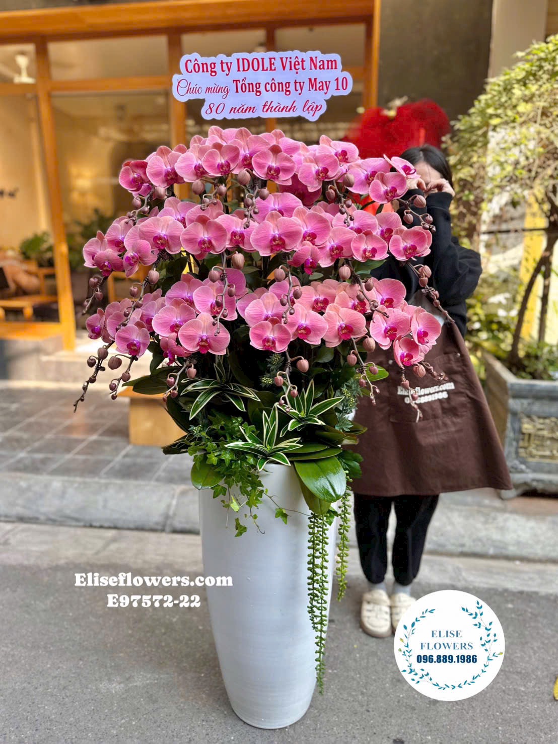 Lan hồ điệp Hà Nội. Chậu lan hồ điệp cao cấp, sang trọng tại Eliseflowers. 