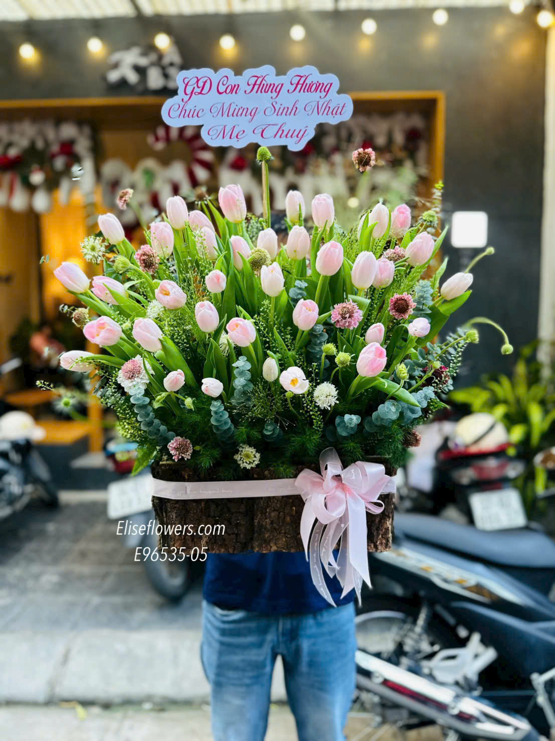 Chậu Hoa Tulip Hồng Phong Cách Hàn Quốc.