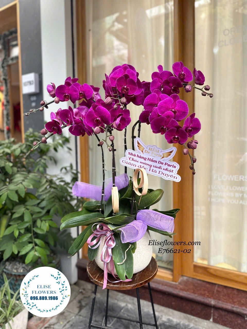 Mua hoa lan hồ điệp biết Tết tại Hà Nội. Đặt hoa lan hồ điệp online