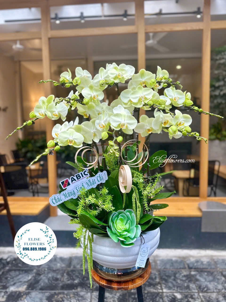 Mua hoa lan hồ điệp tặng 20-11. Giao hoa 20-11 đẹp